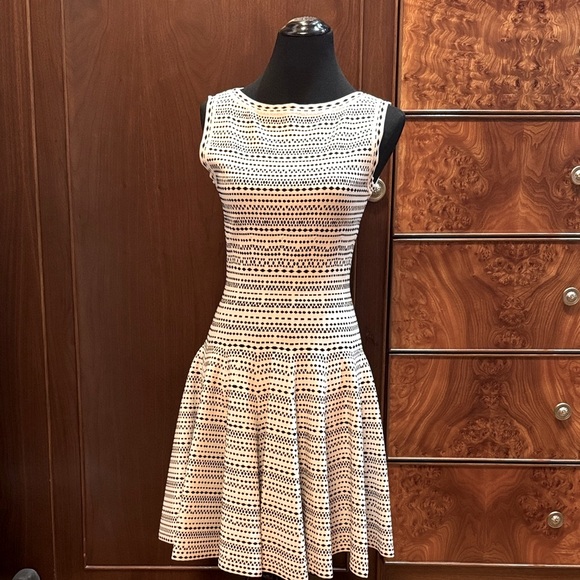 Alaia Dresses & Skirts - Alaia Black and White Geometric Mini Dress